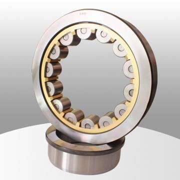 AS9212 Spiral Roller Bearing / Flexible Roller Bearing 60x110x94mm
