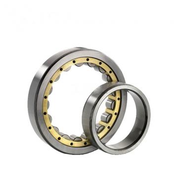 10 mm x 26 mm x 8 mm  SL045009-PP Cylindrical Roller Bearing 45*75*40mm