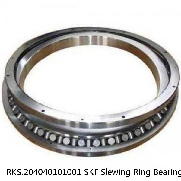 RKS.204040101001 SKF Slewing Ring Bearings