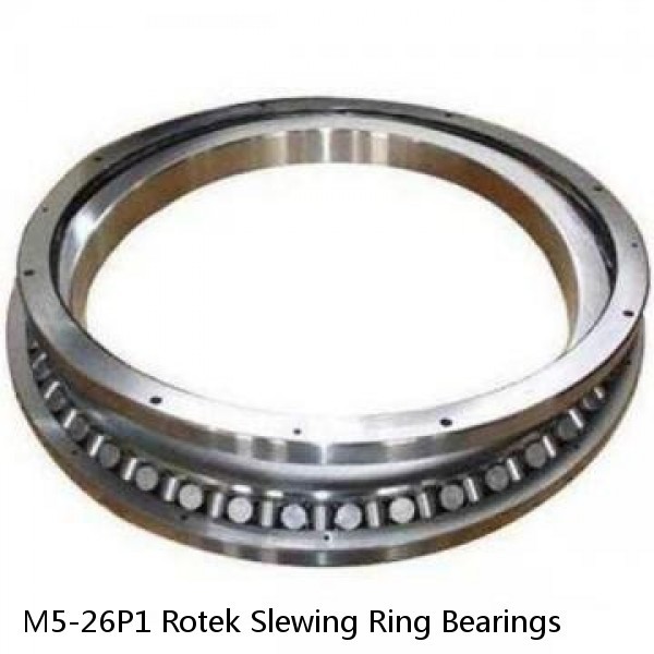 M5-26P1 Rotek Slewing Ring Bearings