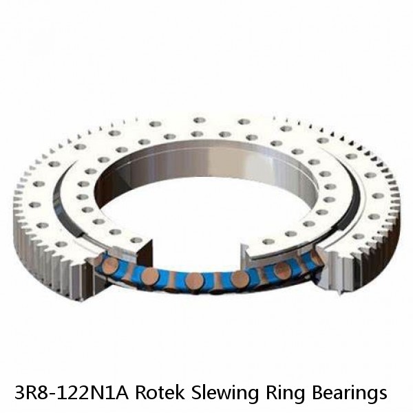 3R8-122N1A Rotek Slewing Ring Bearings