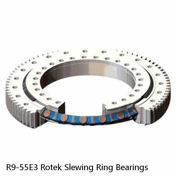 R9-55E3 Rotek Slewing Ring Bearings