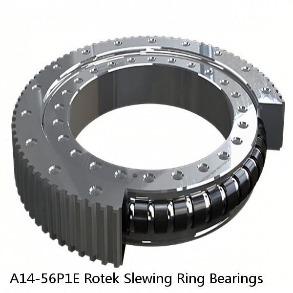 A14-56P1E Rotek Slewing Ring Bearings