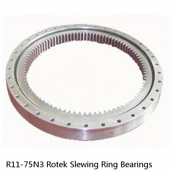 R11-75N3 Rotek Slewing Ring Bearings