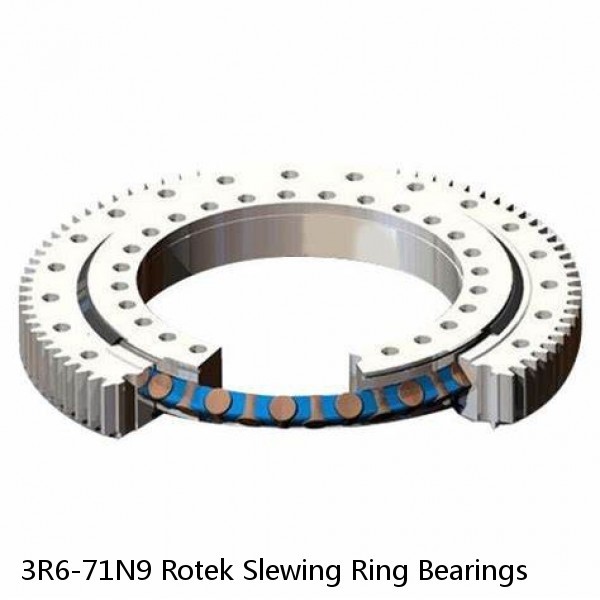 3R6-71N9 Rotek Slewing Ring Bearings