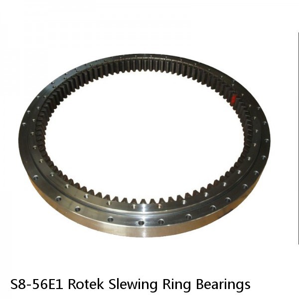 S8-56E1 Rotek Slewing Ring Bearings