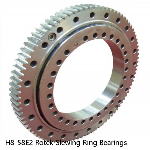 H8-58E2 Rotek Slewing Ring Bearings