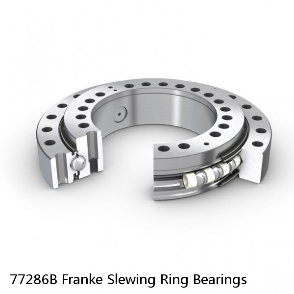 77286B Franke Slewing Ring Bearings