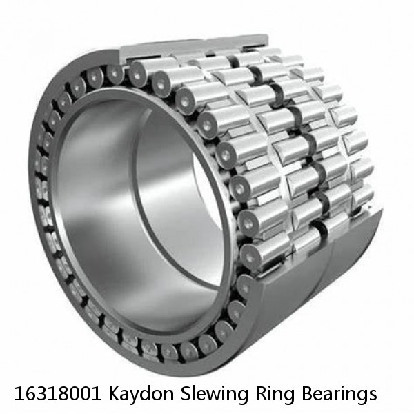 16318001 Kaydon Slewing Ring Bearings