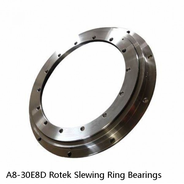 A8-30E8D Rotek Slewing Ring Bearings