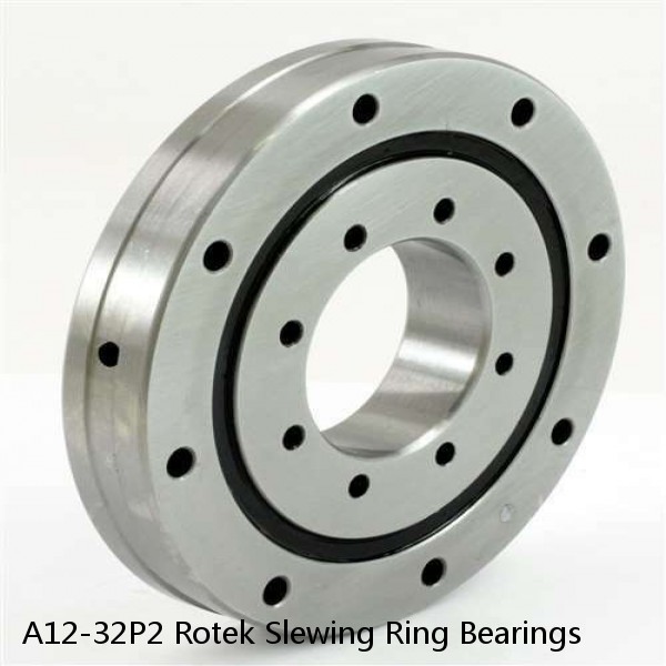 A12-32P2 Rotek Slewing Ring Bearings