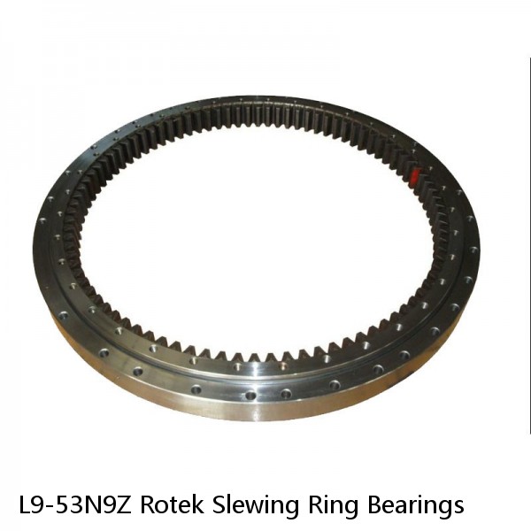 L9-53N9Z Rotek Slewing Ring Bearings