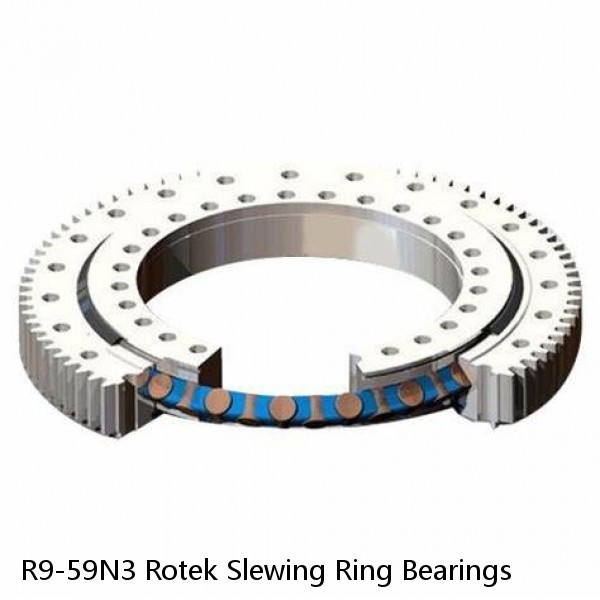 R9-59N3 Rotek Slewing Ring Bearings