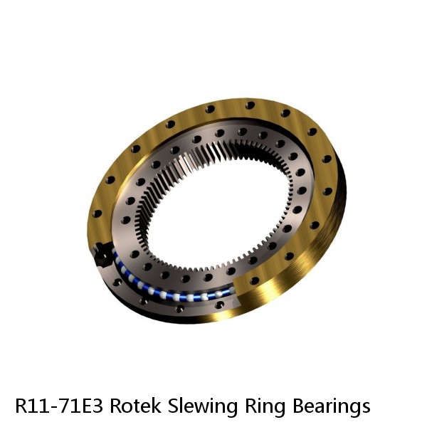 R11-71E3 Rotek Slewing Ring Bearings