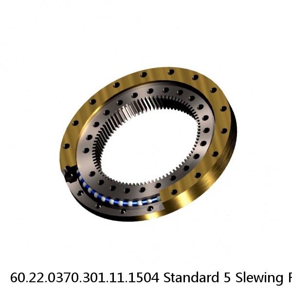 60.22.0370.301.11.1504 Standard 5 Slewing Ring Bearings