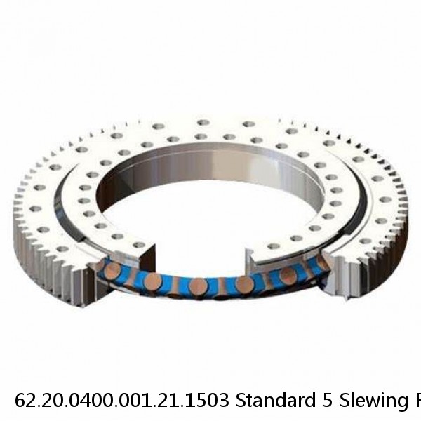 62.20.0400.001.21.1503 Standard 5 Slewing Ring Bearings