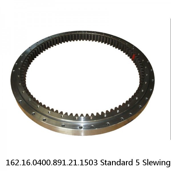 162.16.0400.891.21.1503 Standard 5 Slewing Ring Bearings