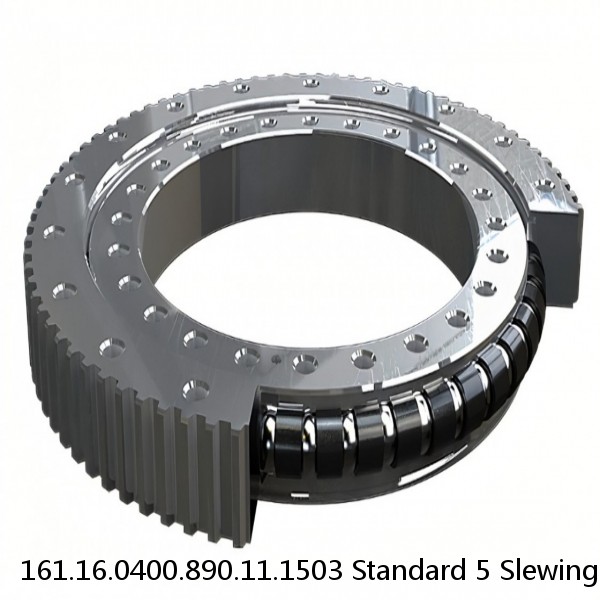 161.16.0400.890.11.1503 Standard 5 Slewing Ring Bearings