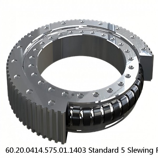 60.20.0414.575.01.1403 Standard 5 Slewing Ring Bearings