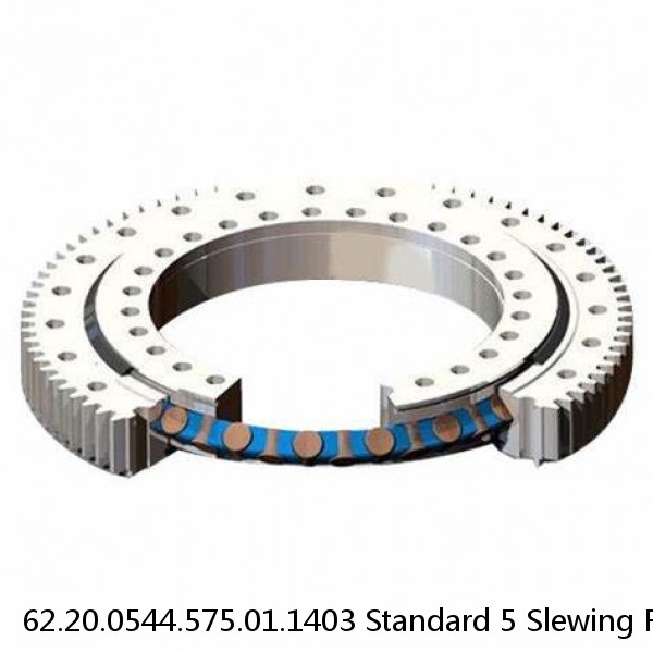 62.20.0544.575.01.1403 Standard 5 Slewing Ring Bearings