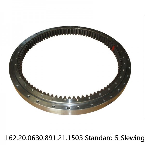 162.20.0630.891.21.1503 Standard 5 Slewing Ring Bearings