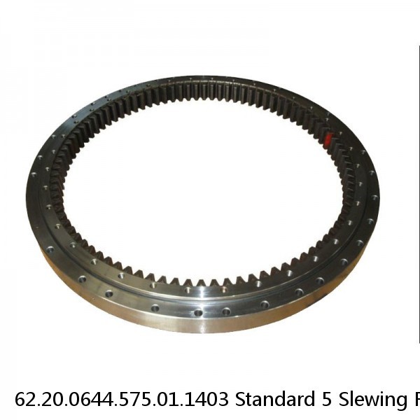 62.20.0644.575.01.1403 Standard 5 Slewing Ring Bearings