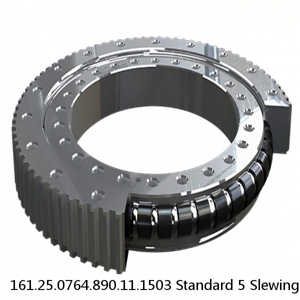 161.25.0764.890.11.1503 Standard 5 Slewing Ring Bearings