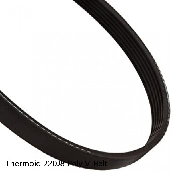 Thermoid 220J8 Poly V-Belt